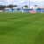 Concord chairman confirms £40,000 pitch improvement works 071312212610large
